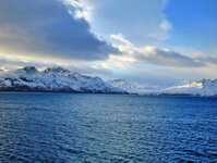 Ankunft vor Grytviken