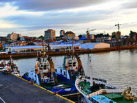 Am frühen Morgen vor Punta Arenas