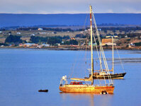 Blick auf Punta Arenas