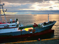 Am frühen Morgen vor Punta Arenas