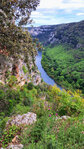 An der Ardèche oberhalb der Madeleine-Grotte